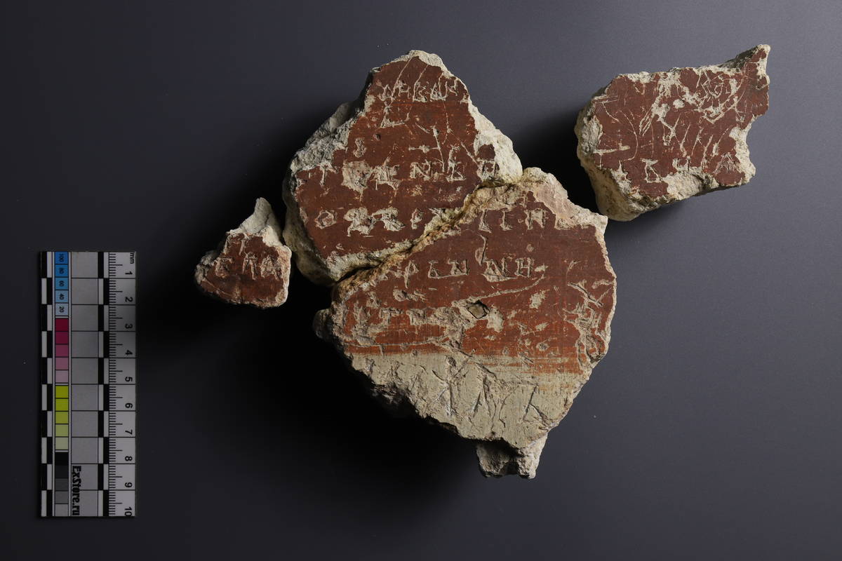 Фото предоставлено А. А. Гиппиусом.