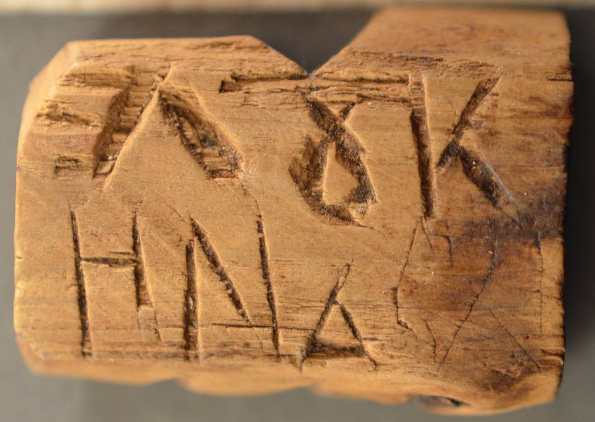 Фото Н. А. Седуковой