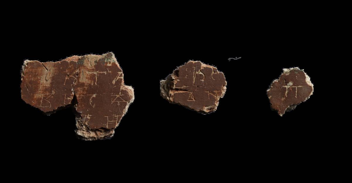 Фото предоставлено А. А. Гиппиусом.