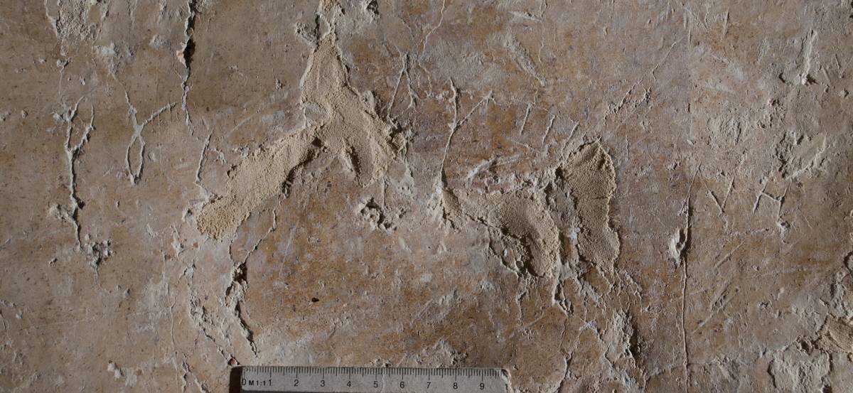 From <a href="/epigraphy/bibliography/record/list#Гиппиус, Михеев 2019б">Гиппиус, Михеев 2019б</a>