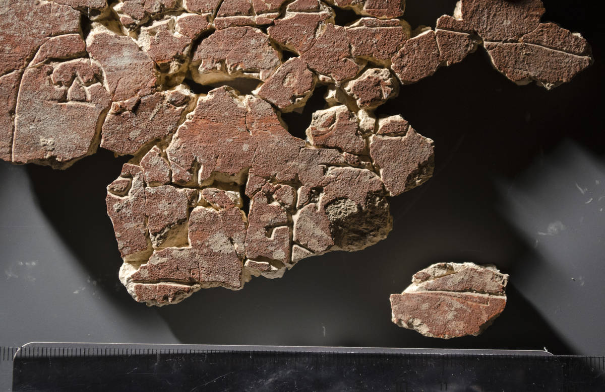 Взято из работы <a href="/epigraphy/bibliography/record/list#Гиппиус, Михеев 2022а">Гиппиус, Михеев 2022а</a>