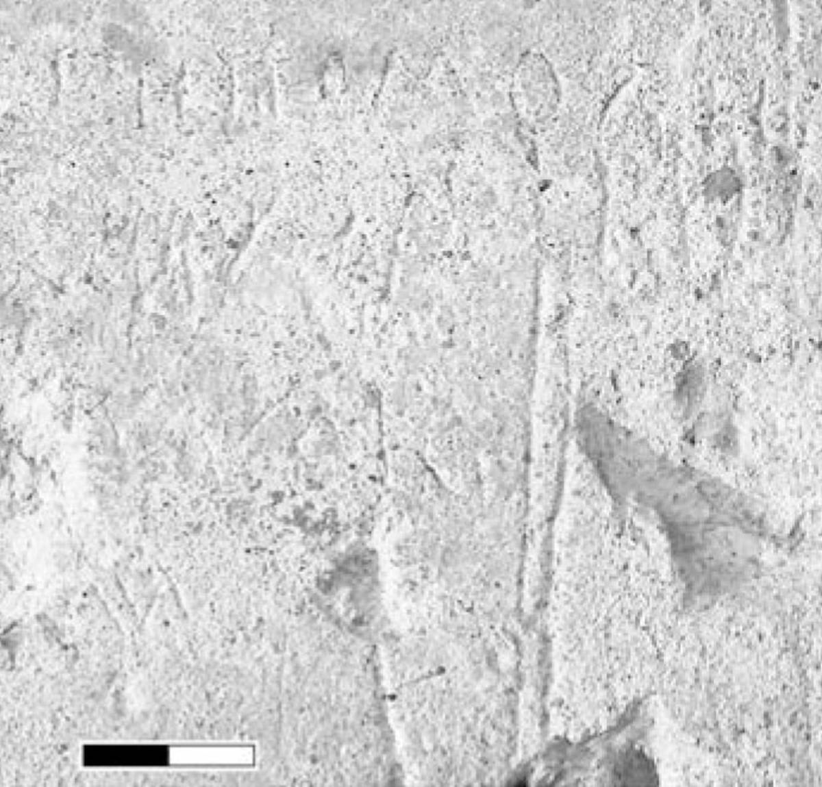 Взято из работы <a href="/epigraphy/bibliography/record/list#Корниенко 2013а">Корниенко 2013а</a>