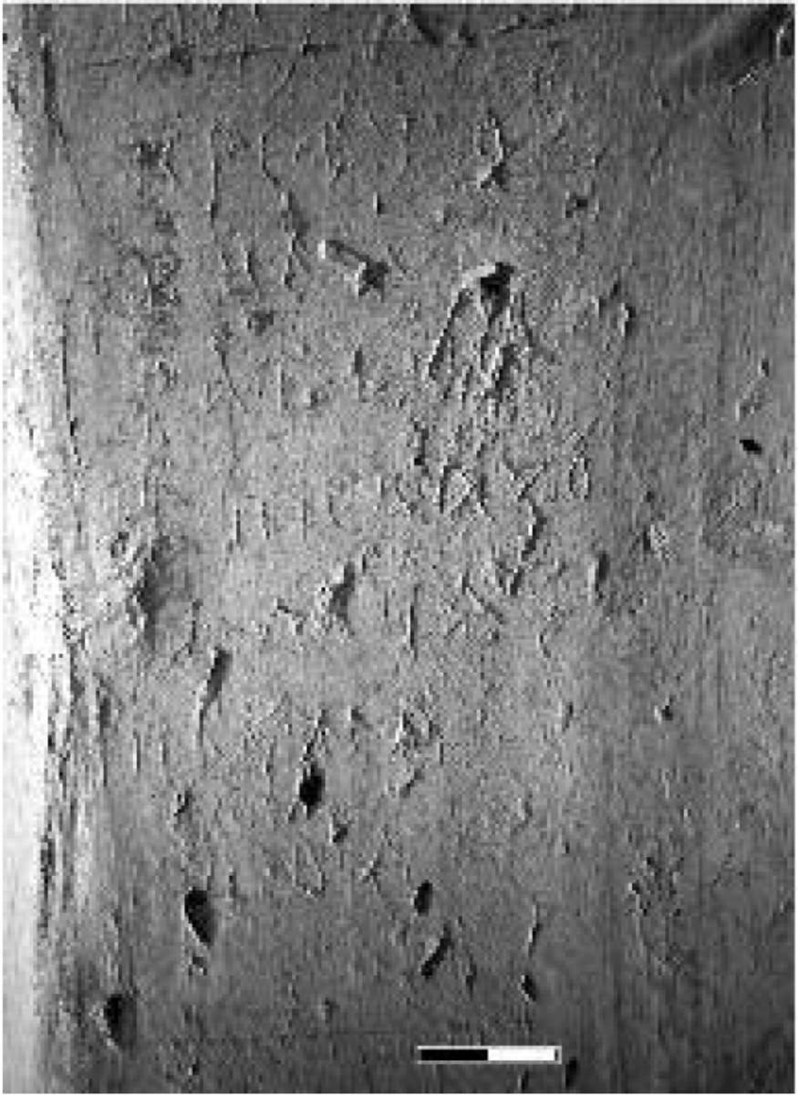 Взято из работы <a href="/epigraphy/bibliography/record/list#Корниенко 2016">Корниенко 2016</a>