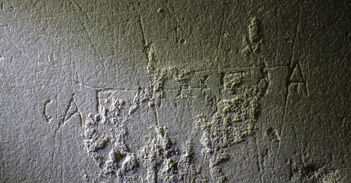 Взято из работы <a href="/epigraphy/bibliography/record/list#Михеев 2023">Михеев 2023</a>