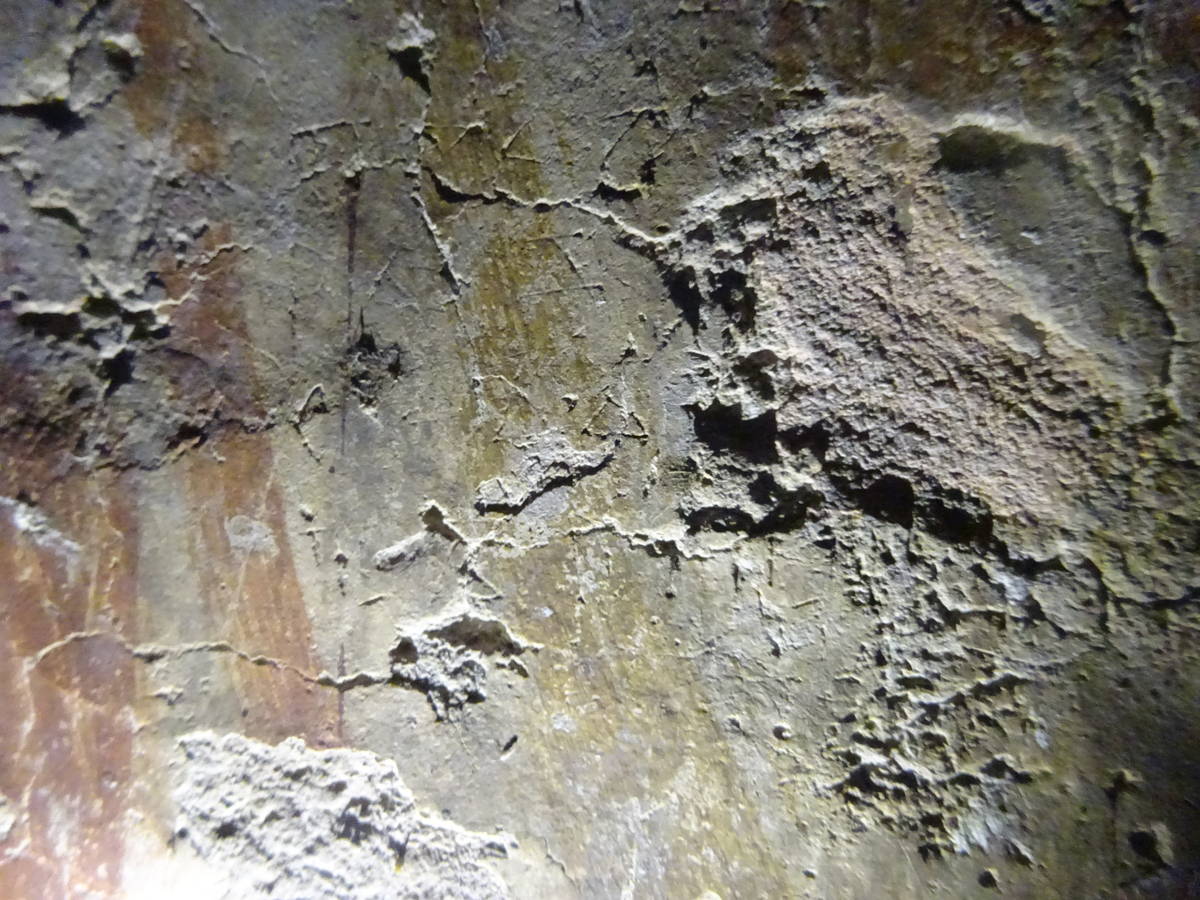 Фото Д. В. Сичинавы (8 июля 2021)